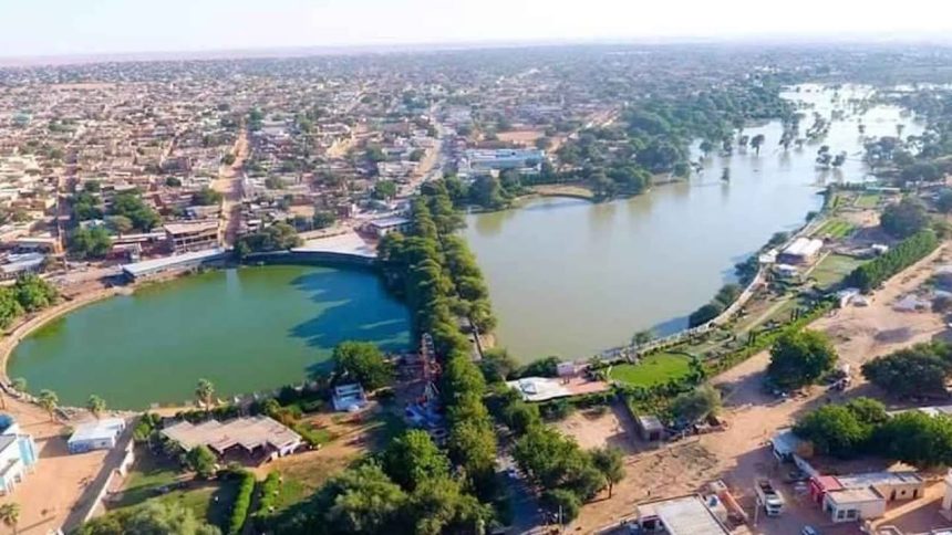 "المنظمة العربية لحقوق الإنسان تدين حصار الفاشر وتهديد حياة الآلاف في دارفور بالسودان"