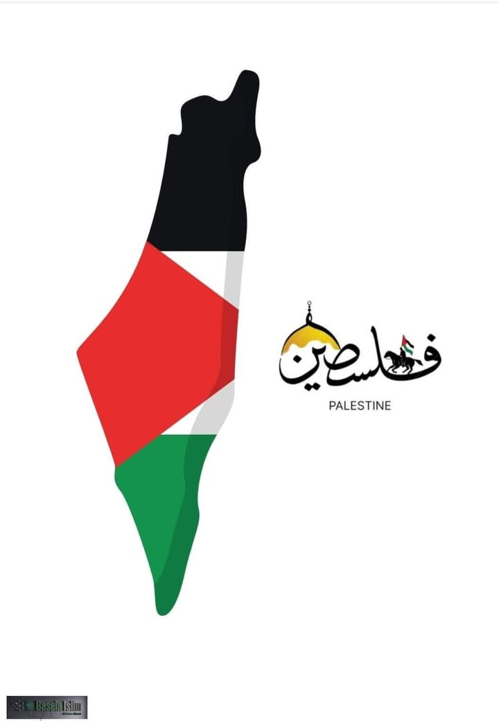 "المنظمة العربية لحقوق الإنسان: وقف الإبادة في غزة التزام عالمي لإنقاذ المدنيين وأطفالها المهددين"