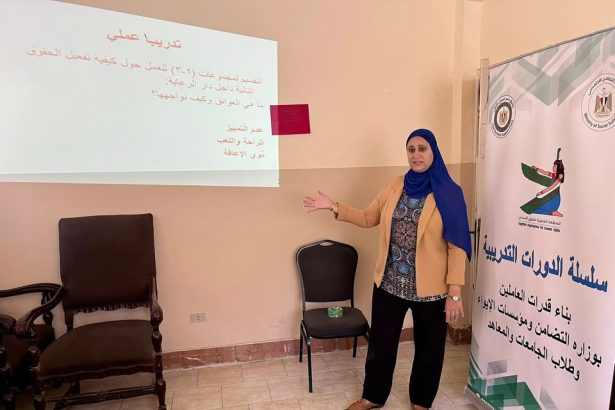 "المنظمة المصرية لحقوق الإنسان تبدأ برنامجًا لدعم حقوق الطفل بمراكز الإيواء عبر التدريب"