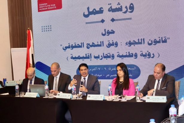 "د. هاني إبراهيم: قانون اللجوء المصري يعزز حماية اللاجئين وفق معايير حقوق الإنسان الدولية"