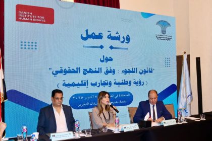الدكتورة نهى طلعت عبد القوى: المجلس القومي لحقوق الإنسان يناقش قانون اللجوء لضمان الحقوق والتنفيذ العادل