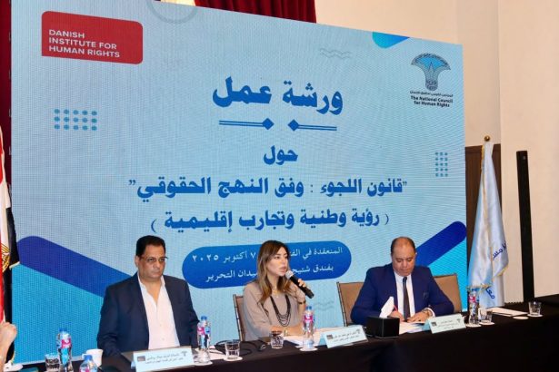 الدكتورة نهى طلعت عبد القوى: المجلس القومي لحقوق الإنسان يناقش قانون اللجوء لضمان الحقوق والتنفيذ العادل