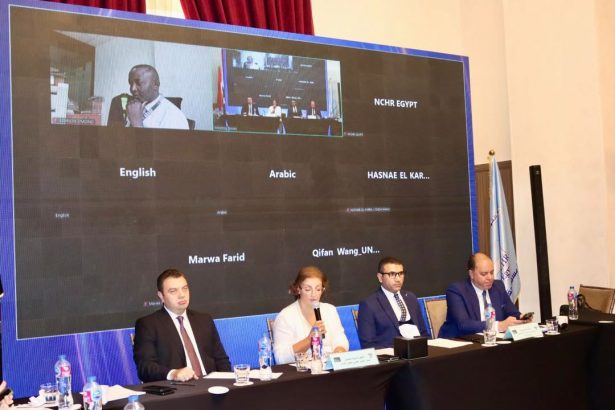 دكتورة وفاء بنيامين: المجلس القومي لحقوق الإنسان يدعو لتنسيق شامل لتطبيق قانون اللجوء وحماية الفئات الهشة