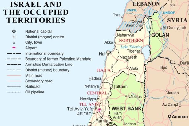 المنظمة العربية لحقوق الإنسان: إبادة جماعية مستمرة بحق الفلسطينيين في غزة خلال عامين