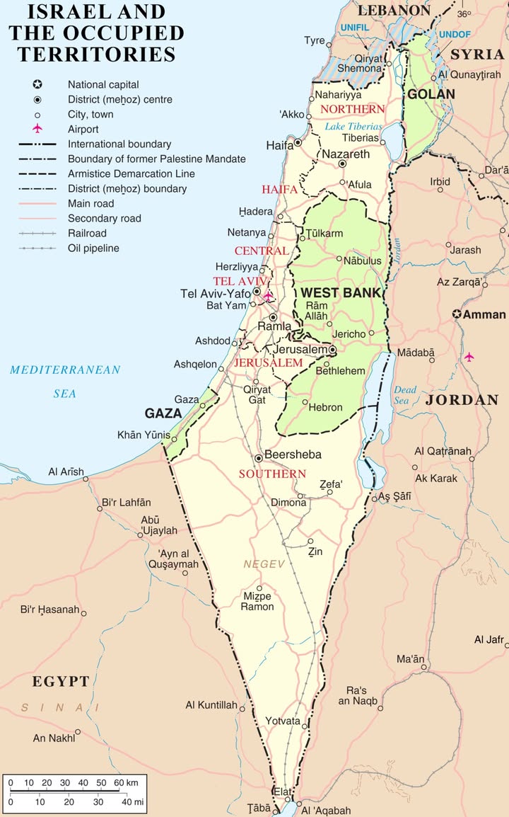 المنظمة العربية لحقوق الإنسان: إبادة جماعية مستمرة بحق الفلسطينيين في غزة خلال عامين