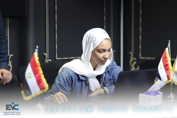 ختام برنامج Excel بمجلس الشباب المصري: تدريب لتعزيز المهارات العملية والتحليل الاحترافي للشباب