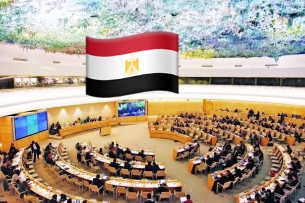 "المنظمة المصرية لحقوق الإنسان تهنئ مصر بفوزها بعضوية مجلس حقوق الإنسان (2026-2028)"