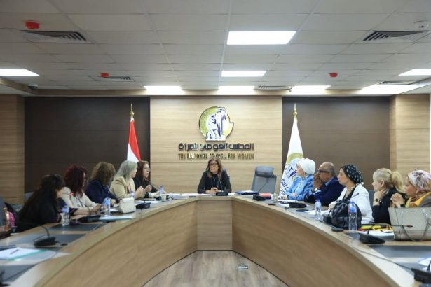 لجنة الثقافة والفنون بالمجلس القومي للمرأة تستعرض خطتها لتعزيز الصحة النفسية بالفن والإبداع