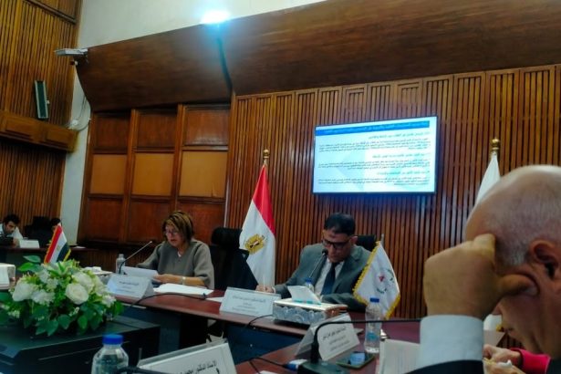 "القومي للأشخاص ذوي الإعاقة" يشارك في ورشة بحثية لدعم دمج ذوي الإعاقة في التعليم بمصر