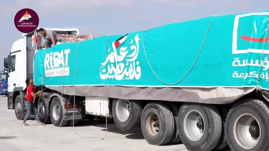 "د. بثينة مصطفى: حياة كريمة بجانب أشقائنا في غزة استجابة لتوجيهات القيادة السياسية"
