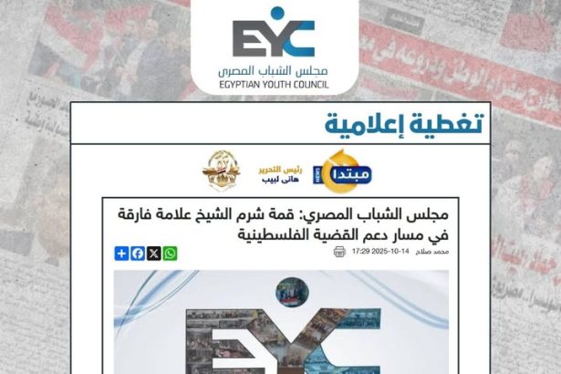 "مجلس الشباب المصري يشيد بجهود الرئيس السيسي في إنجاح القمة ودعم مسار السلام"
