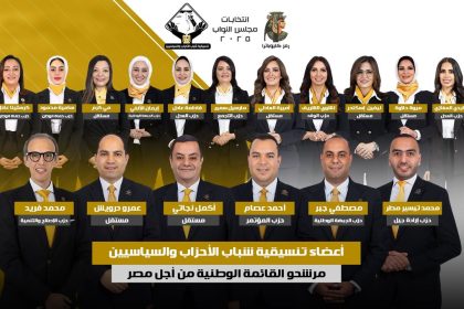 "تنسيقية شباب الأحزاب والسياسيين تستعد بوجوه شابة واعدة لانتخابات مجلس نواب 2025"