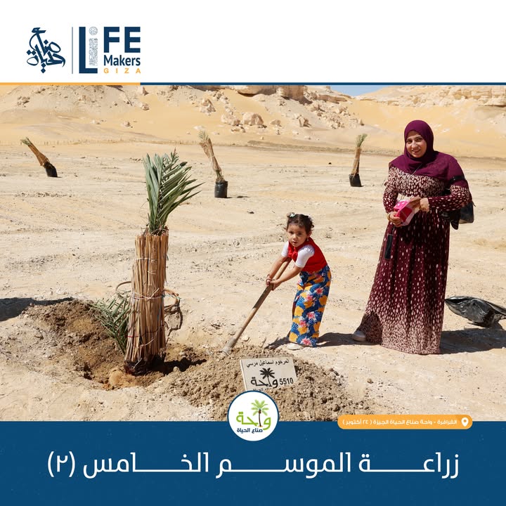 احتفال جمعية صناع الحياة الجيزة بزراعة نخيل الموسم الخامس بمشاركة المتبرعين في واحة الفرافرة 🌴