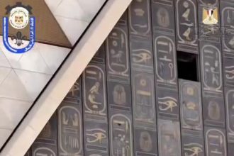 الاتحاد العام لشباب العمال يقدم رؤية جديدة عن المتحف المصري الكبير للشعب المصري